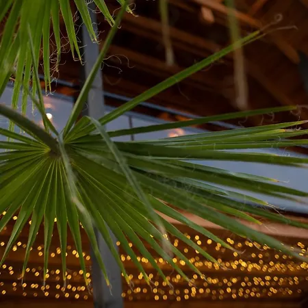 Apartamento Fueredikon***