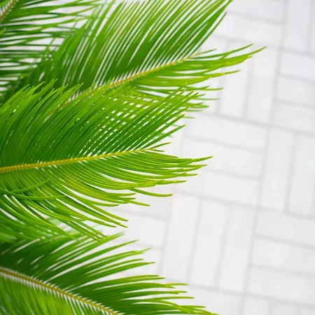 Apartamento Fueredikon*** *