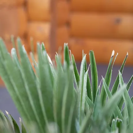 Apartamento Fueredikon*** Tiszafüred