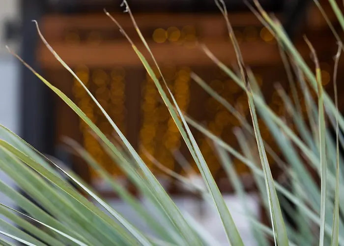 アパート Fueredikon***