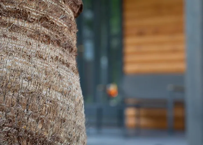 Fueredikon*** アパート