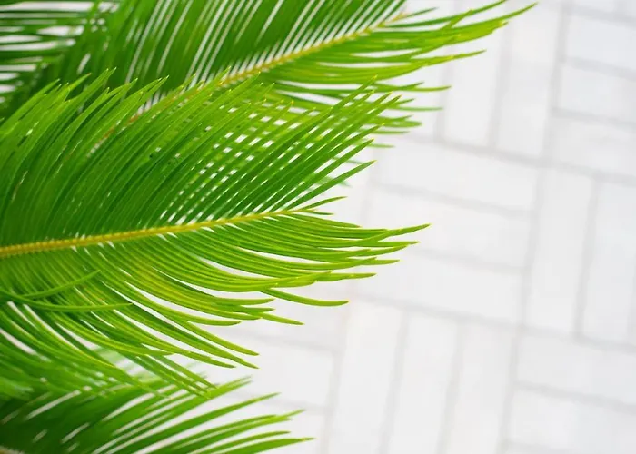 アパート Fueredikon*** *