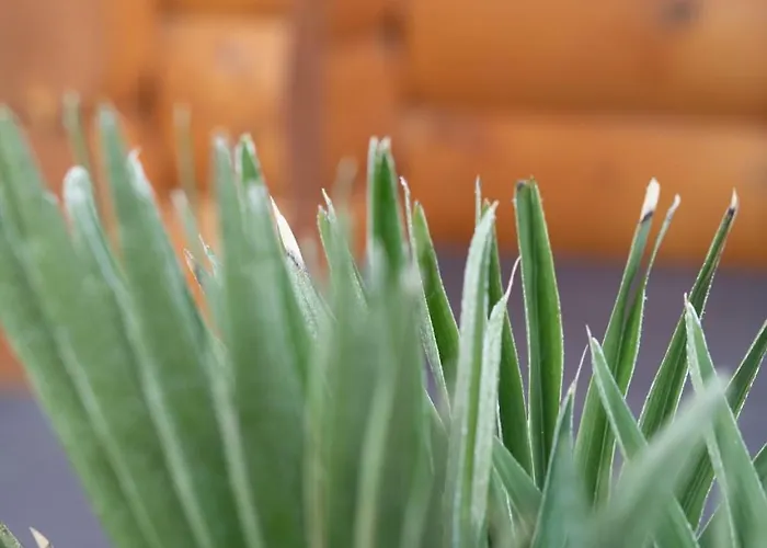 アパート Fueredikon*** Tiszafüred